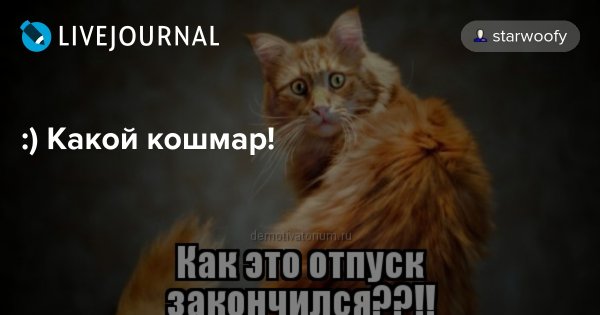 Уж Мем