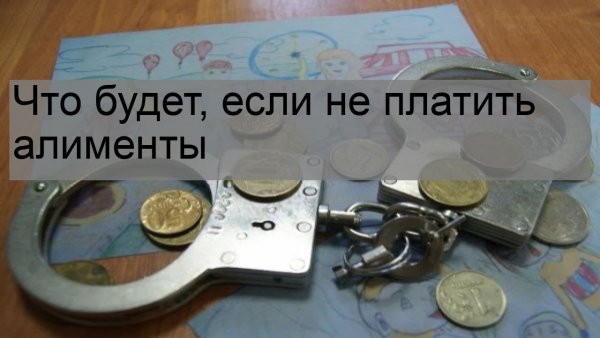 Плати алименты