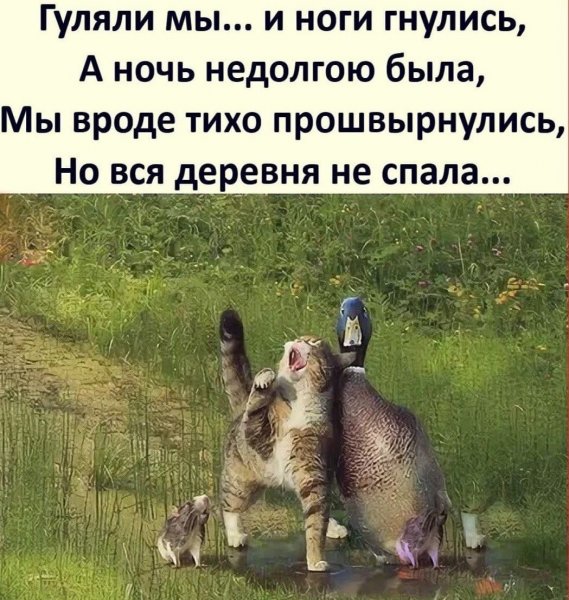 Если у вас плохое настроение нужно тяпнуть пива