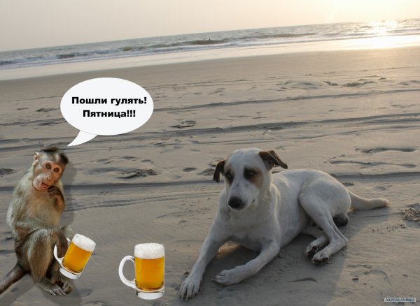 Пятница гуляем