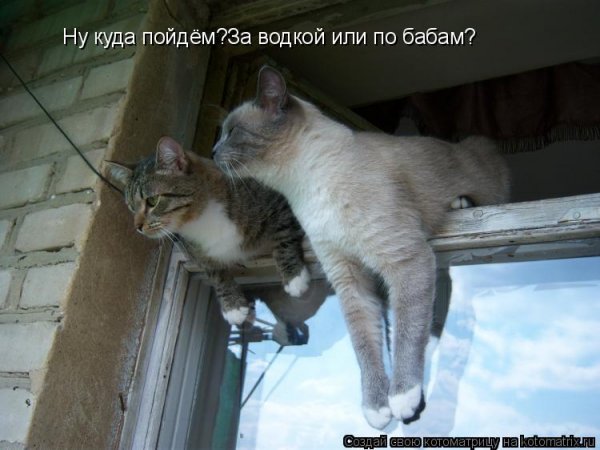 Гулять прикол