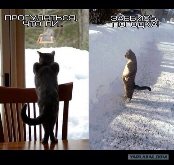 Приколы про весну
