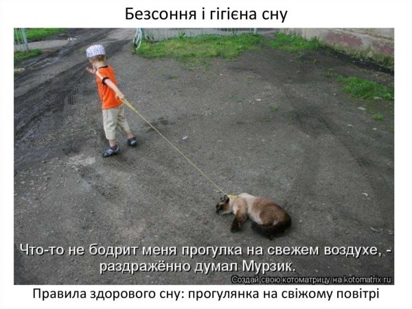 Анекдот про прогулку