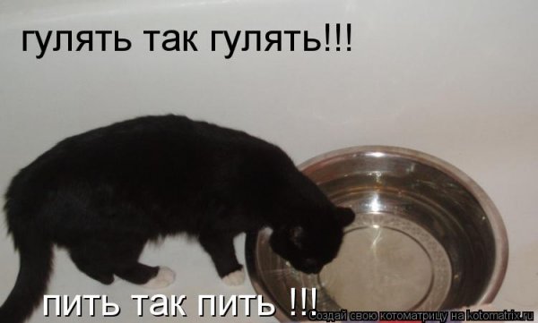 Гулять прикол