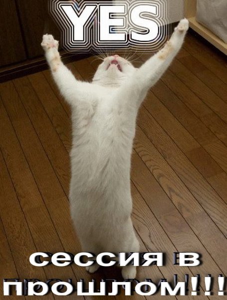 Радость рисунки смешные