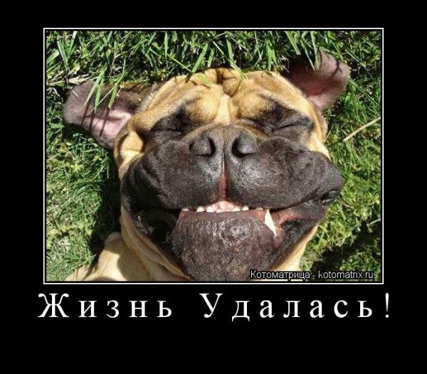 Кайфуем прикол