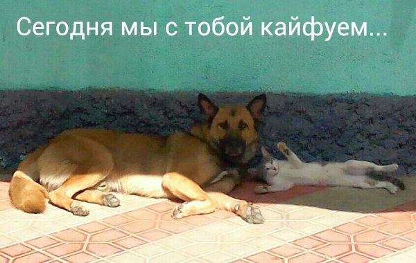 Мы с тобой Кайфуем