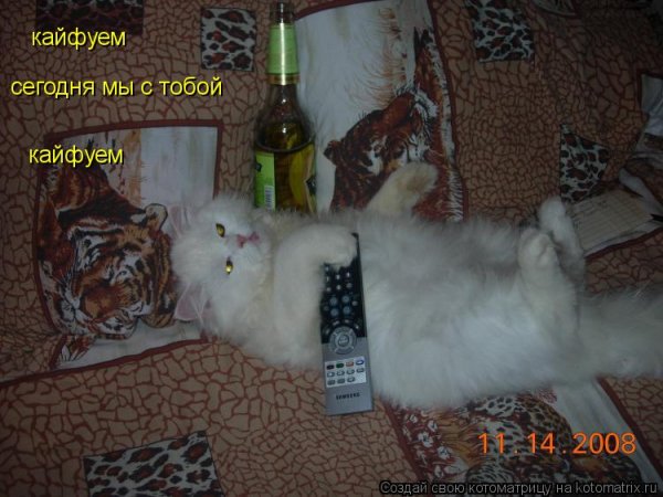 Кайфуем сегодня мы с тобой Кайфуем