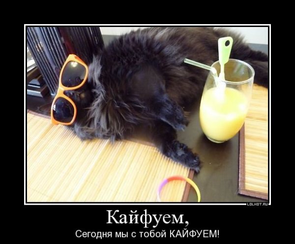 Кайфуем прикол