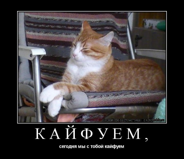 Кайфуем прикол