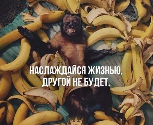Наслаждайся жизнью
