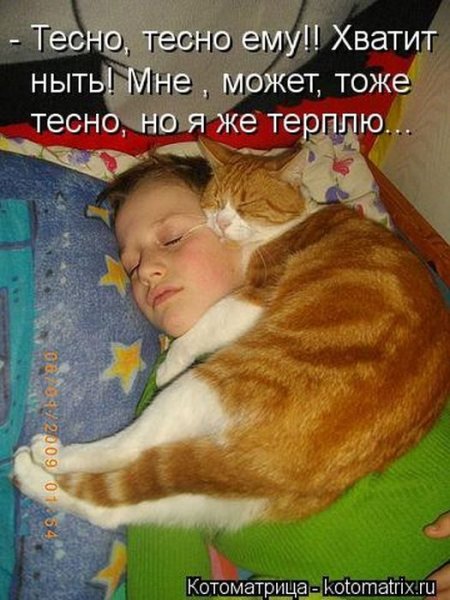Я кайфую картинки прикольные