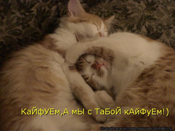 Мы Кайфуем