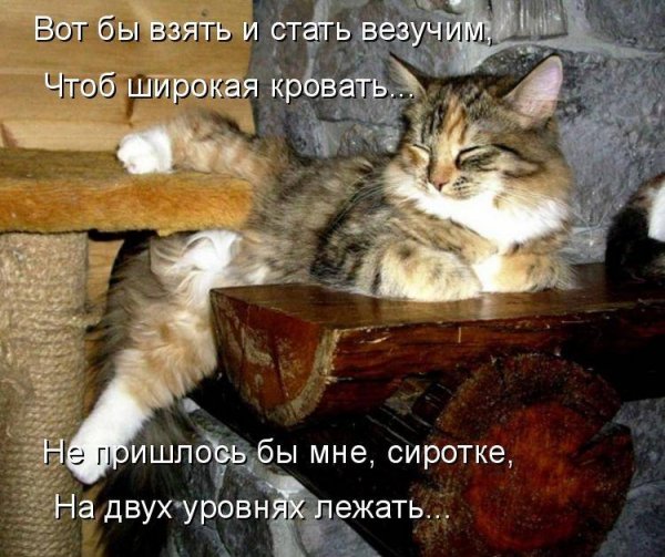 Кайф смешные картинки