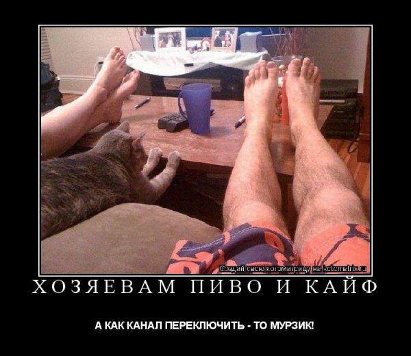 Мурзик и хозяин с озвучкой