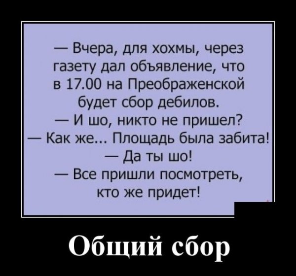 Анекдоты приколы демотиваторы