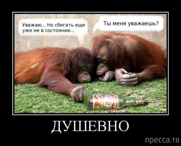 Демотиваторы душевные