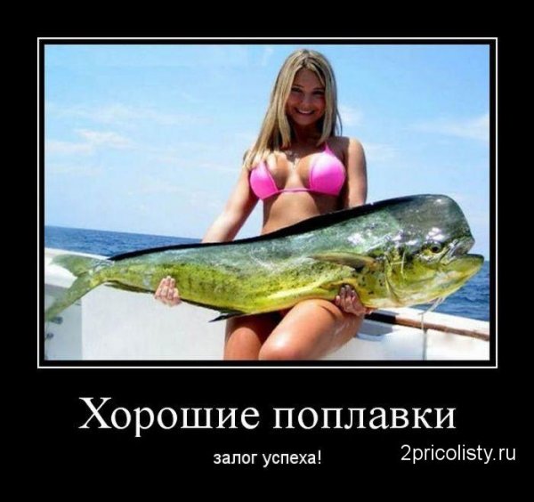 Рыба прикол