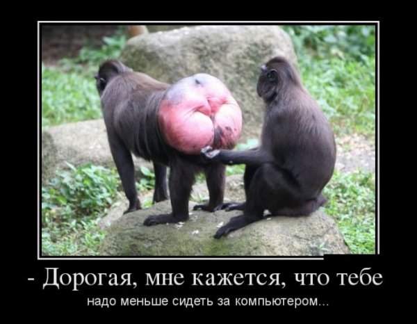 Обидные демотиваторы