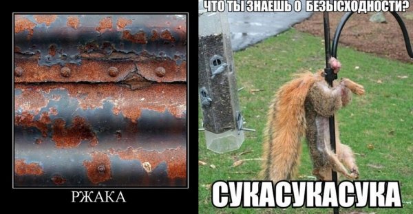 Хохмачи приколы