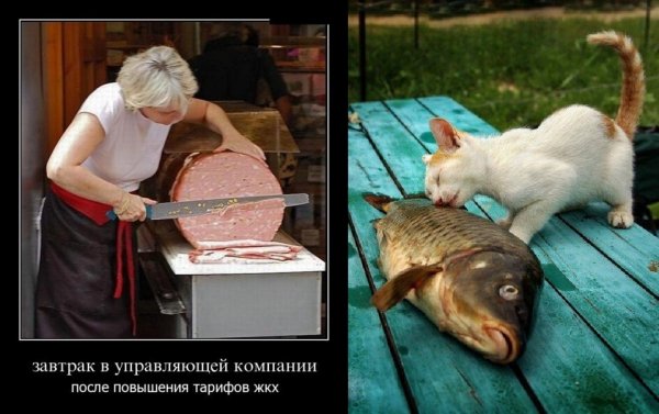 Самая смешная хохма