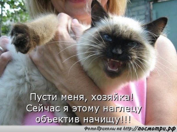 Прикольные фото анекдоты