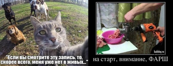 Хохма Мем