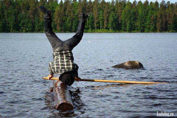 Бревно плывет по течению