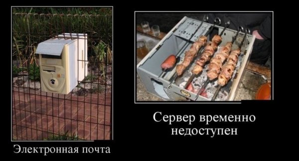 Хохмы приколы