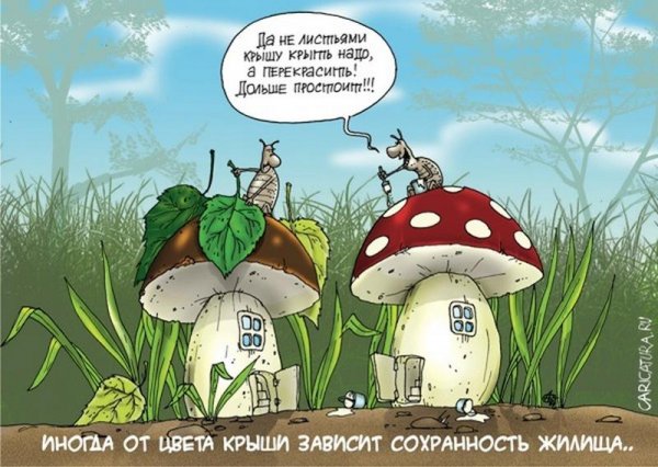 Грибы юмор