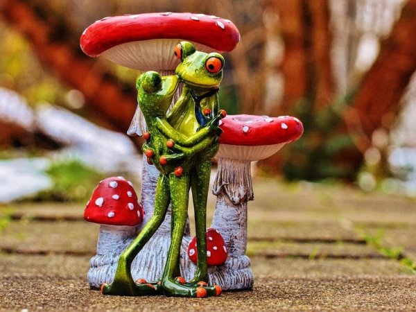 Мухомор с лягушонком