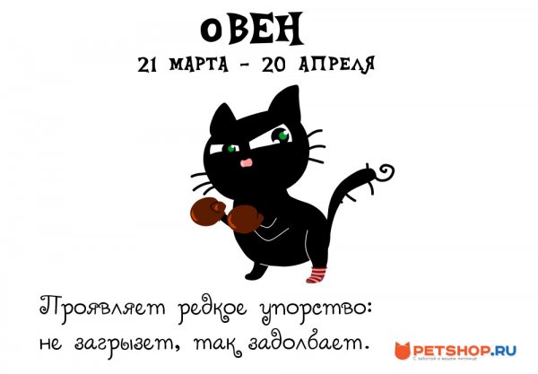 Овен приколы