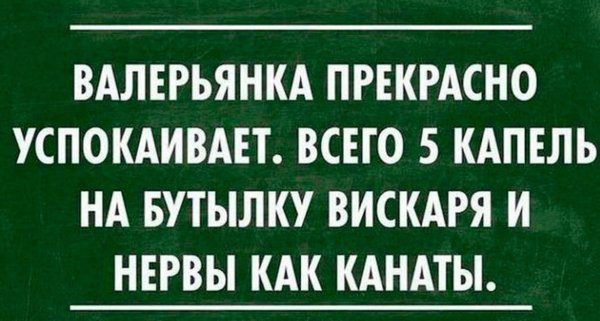 Смешные фразы