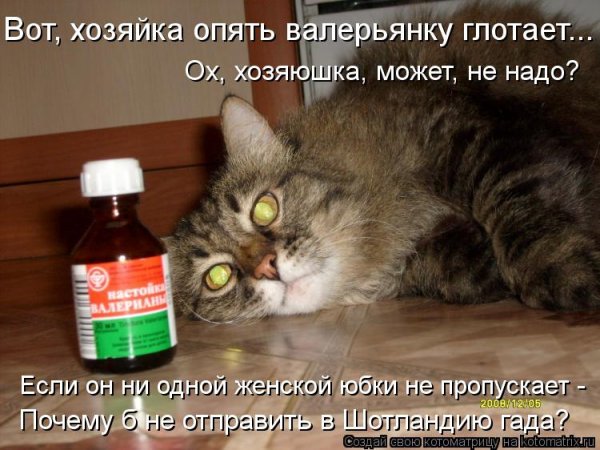 Валерьянка прикол