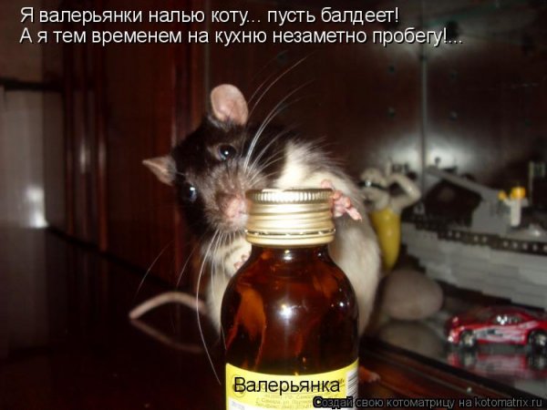 Валерьянка прикол