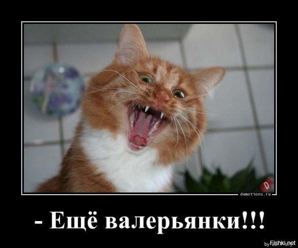 Валерьянка юмор