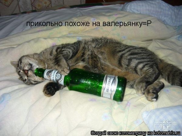 Валерьянка прикол