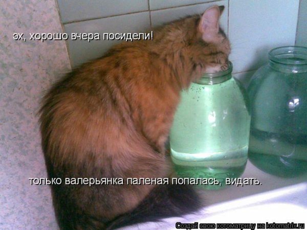 Вчера было хорошо