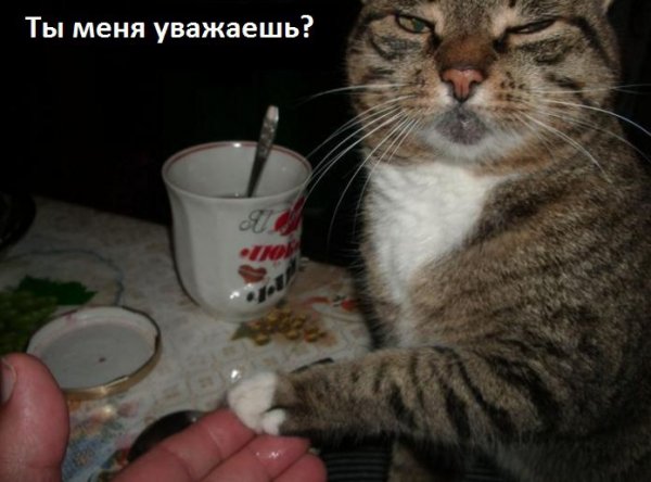 Ты меня уважаешь