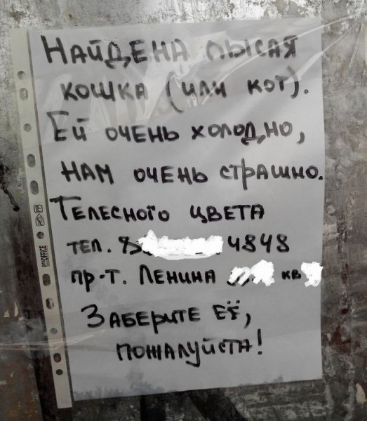 Смешные объявления