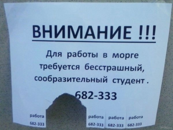 Объявления приколы