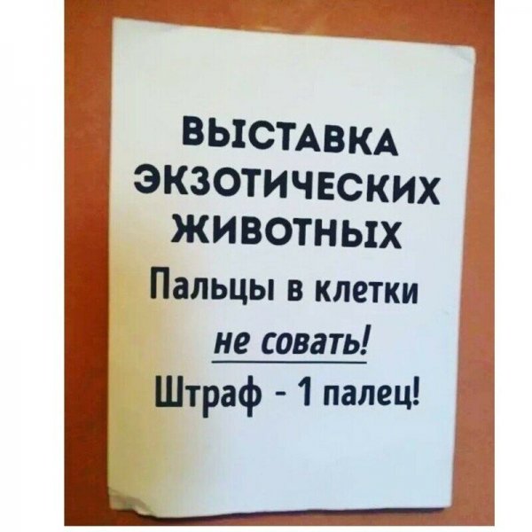 Смешные объявления и надписи