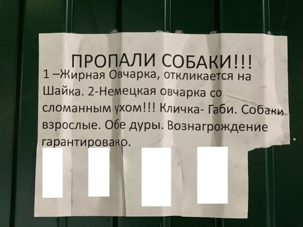 Смешные креативные объявления