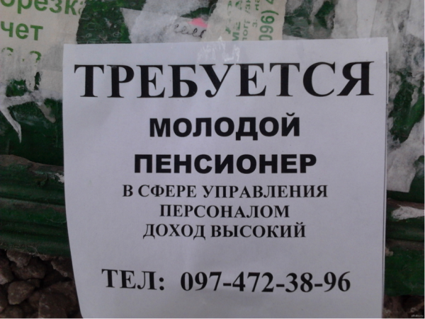 Объявления приколы