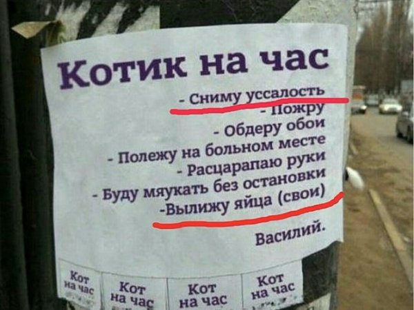 Прикольные объявления