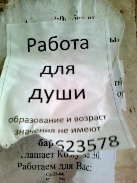 Самые смешные объявления об услугах