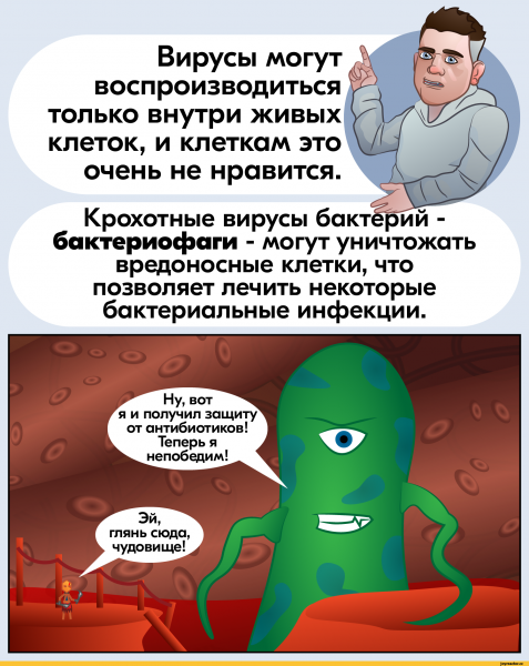 Вирус прикол