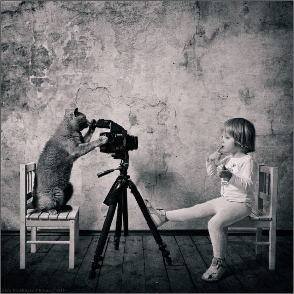 Андрей Прохоров фотохудожник