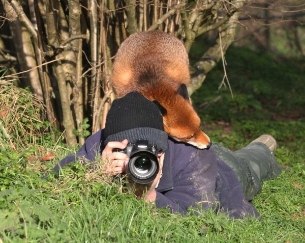 Фотограф и животные