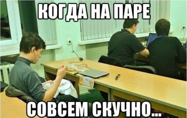 Приколы про студентов